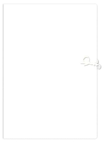 Teczka wiązana Interdruk, A-3+, kartonowa, biała