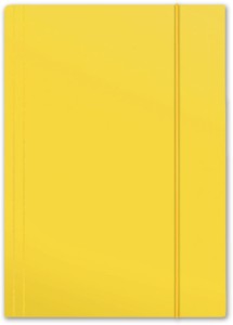 Teczka kartonowa z gumką Penmate Plus, A-4, żółta