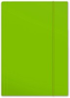 Teczka kartonowa z gumką Penmate Plus, A-4, jasnozielona