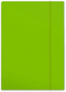 Teczka kartonowa z gumką Penmate Plus, A-4, jasnozielona