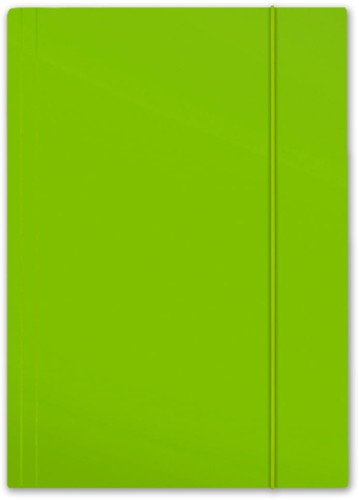 Teczka kartonowa z gumką Penmate Plus, A-4, jasnozielona