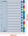 Przekładki plastikowe Esselte, A-4, 12 przekładek