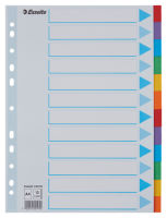 Przekładki kartonowe Esselte A-4, 12 przekładek