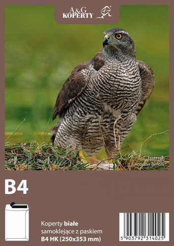 Koperta B-4 biała z paskiem (50 sztuk)