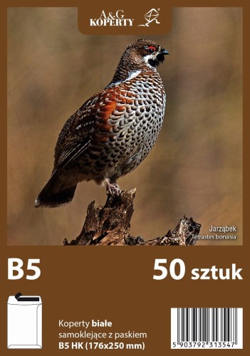 Koperta B-5 biała z paskiem szary poddruk (50 sztuk)