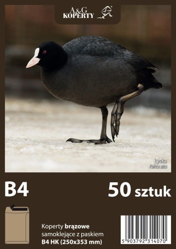 Koperta B-4 szara z paskiem (50 sztuk)