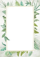 Dyplom Botanic, Galeria Papieru, A-4, 25 arkuszy