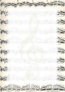 Dyplom Nuty, Galeria Papieru, A-4, 25 arkuszy