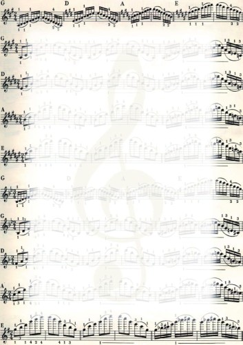 Dyplom Nuty, Galeria Papieru, A-4, 25 arkuszy