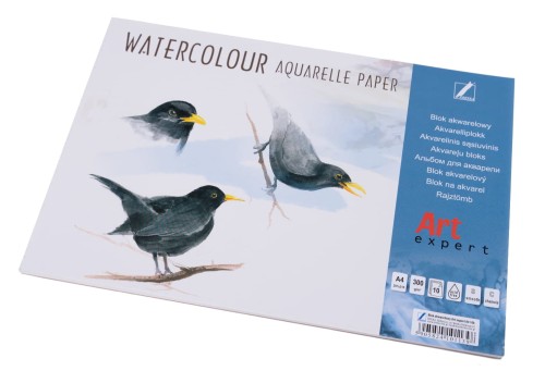 Blok do akwareli Art Expert Kreska, A-4, 300g 