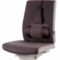 Podpórka pod plecy Fellowes Professional Series