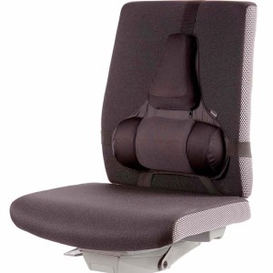 Podpórka pod plecy Fellowes Professional Series