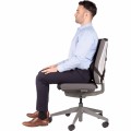 Podpórka pod plecy Fellowes Professional Series