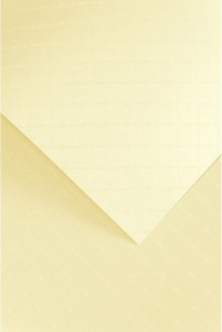 Papier wizytówkowy Chic A-4 Galeria Papieru, 20 arkuszy, kremowy