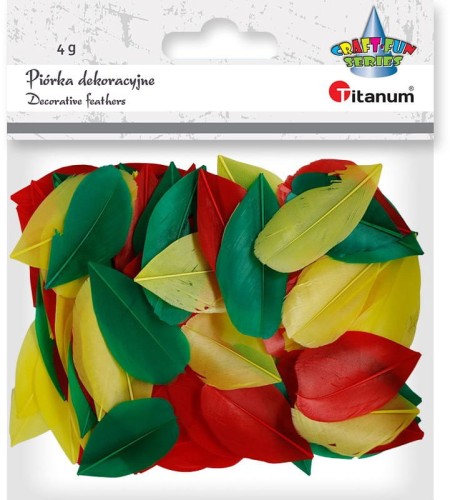 Piórka Titanum Craft-Fun Series mix, 4g
