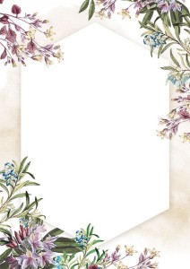 Dyplom Umbria, Galeria Papieru, A-4, 25 arkuszy