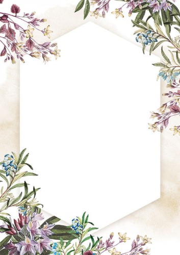 Dyplom Umbria, Galeria Papieru, A-4, 25 arkuszy