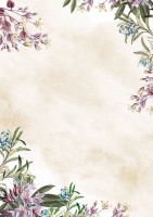 Arkusz barwny Umbria Galeria Papieru, A-4, 50 arkuszy