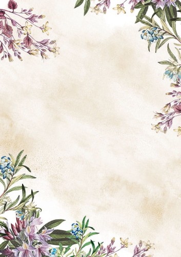 Arkusz barwny Umbria Galeria Papieru, A-4, 50 arkuszy