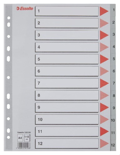 Przekładki plastikowe Esselte, A-4, 12 przekładek