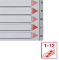 Przekładki plastikowe Esselte, A-4, 12 przekładek