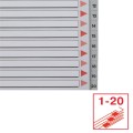 Przekładki plastikowe Esselte, A-4, 20 przekładek