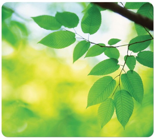 Ekologiczna podkładka pod mysz Fellowes Earth, liście