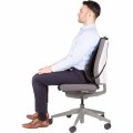 Podpórka pod plecy siatkowa Fellowes Office Suites™