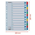 Przekładki kartonowe Esselte Mylar A-4, 12 przekładek
