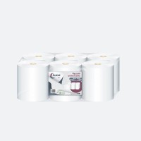 Ręcznik papierowy Maxi Luna Basic, 2 warstwy, biały