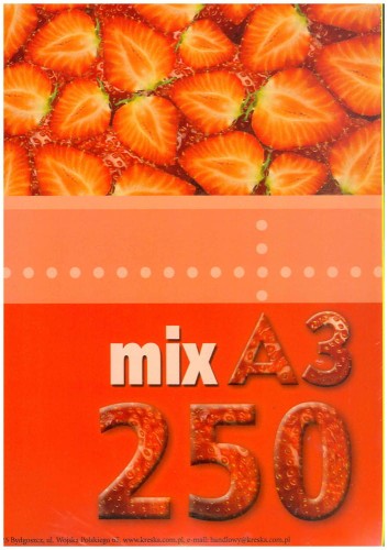 Papier ksero kolorowy A-3 80g/m², 250 arkuszy, miks kolorów