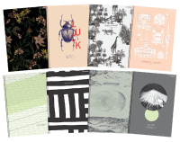 Brulion A-5 TOP-2000 96 kartek, w kratkę