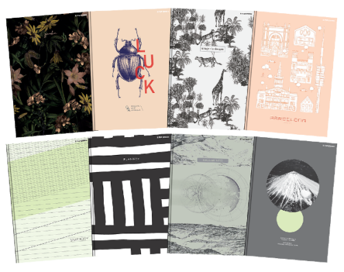 Brulion A-5 TOP-2000 96 kartek, w kratkę