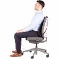 Podpórka pod plecy Fellowes Professional Series, siatkowa 