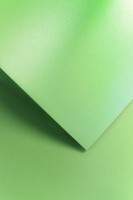 Papier wizytówkowy Millenium A-4 Galeria Papieru, 20 arkuszy, zielony