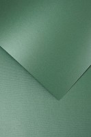 Papier wizytówkowy Iceland A-4 Galeria Papieru, 20 arkuszy, zielony