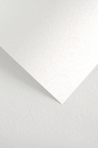 Papier wizytówkowy Skóra A-4 Galeria Papieru, 20 arkuszy, biały
