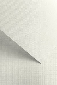 Papier wizytówkowy Floryda A-4 Galeria Papieru, 20 arkuszy, biały