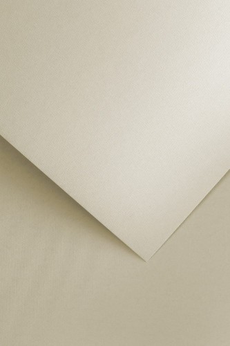 Papier wizytówkowy Floryda A-4 Galeria Papieru, 20 arkuszy, beżowy