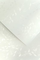 Papier wizytówkowy Liana A-4 Galeria Papieru, 20 arkuszy, biały