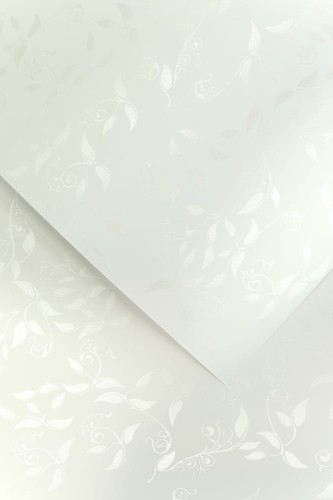 Papier wizytówkowy Liana A-4 Galeria Papieru, 20 arkuszy, biały