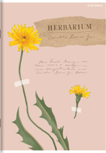 Zeszyt A-5 TOP-2000 Basic 60 kartek, kratka