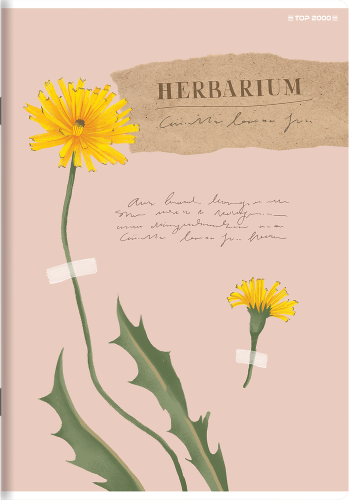 Zeszyt A-5 TOP-2000 Basic 60 kartek, kratka