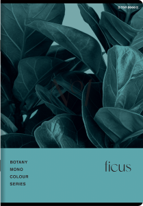 Zeszyt A-5 TOP-2000 Botany 60 kartek, kratka  