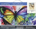 Zestaw kreatywny Malowanie po numerach 30x40cm Kot 1 Flamingo Line 