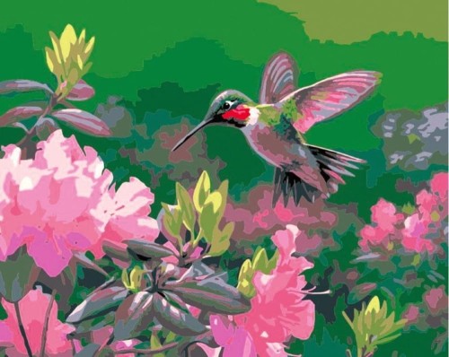 Zestaw kreatywny Malowanie po numerach 30x40cm Koliber Flamingo Line 