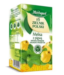 Herbata melisa z pigwą, Herbapol 20 torebek 