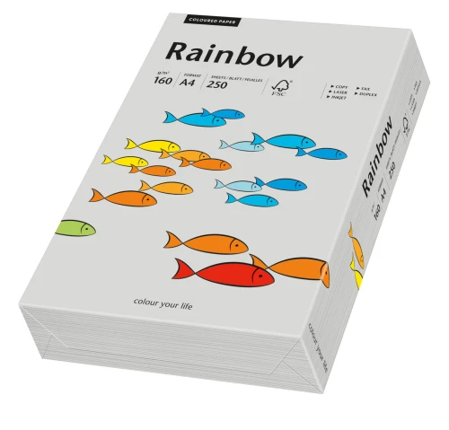 Papier ksero  kolorowy Rainbow A-4 160g/m², 250 arkuszy, szary (R96)  