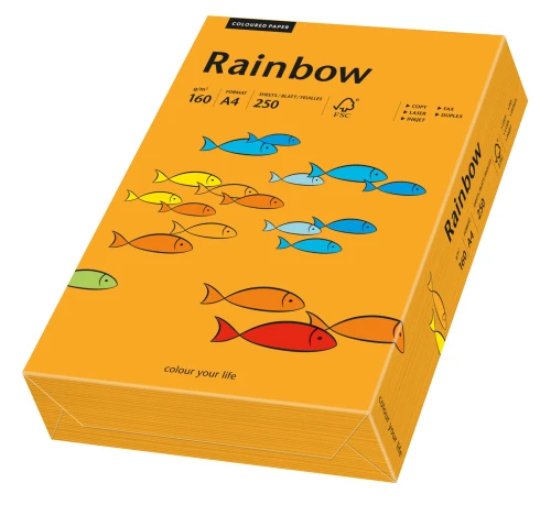 Papier ksero kolorowy Rainbow A-4 160g/m², 250 arkuszy, pomarańczowy (R24)