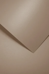 Papier wizytówkowy Millenium A-4 Galeria Papieru, 20 arkuszy, beżowy